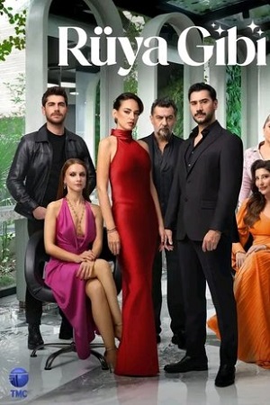 Словно сон (сериал 2025 – …)